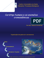 Cariotipo e Anomalias Cromossomicas