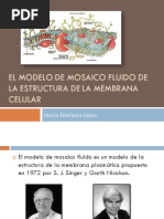 Modelo de Mosaico Fluido PDF