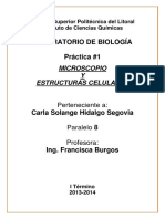 Informe 1 Microscopio y Estructuras Celulares