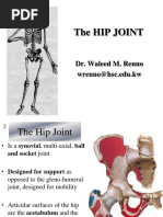 2013 - Lower Limb-HIP Joint