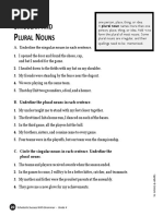 02 - Singular and Plural Nouns PDF