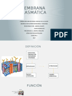 Diapositivas Exposicion Membrana Plasmatica