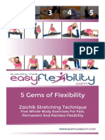 EasyFlexibility "5 Gems of Flexibility"