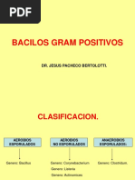 Bacilos Gram Positivos 1