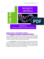 GENETICA 4-Cariotipo, Idiograma, Amniocentesis PDF