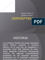 Orden Dermáptera