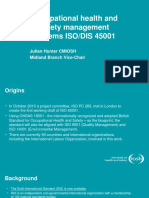 Iso Dis 45001 PDF