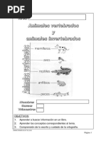 Animales Vertebrados e Invertebrados PDF