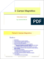 Campo Magnético PDF