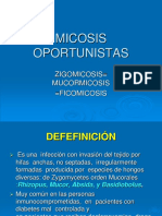 Clase 10 Zigomicosis 1