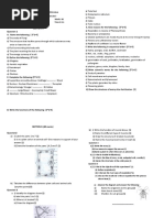 Ix Ques I - Term