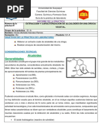 Extraccion y Caracterizacion de Alcaloides en Una Droga Vegetal.