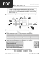 Uso de Las Letras Y, LL PDF