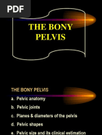 1 Bony Pelvis