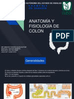 Anatomia y Fisiologia Colon Alistair