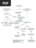 Mapa Conceptual Pedagogia Liberadora