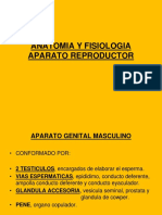 Morfofisiologia Aparato Reproductor