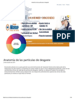 Anatomía de Las Partículas de Desgaste PDF