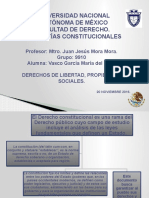 Derechos de Libertad, Propiedad y Sociales.