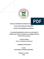 Tesis Polvillo de Arooz PDF