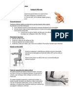 Evaluación Muscular