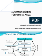 Determinacion de Fosforo en Agua