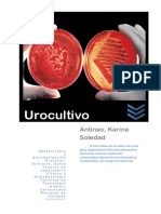 Urocultivo