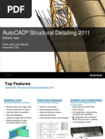 Presentacion Structural Detailing 2011 PDF