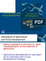 Agricultural Transformation and Rural Development