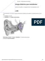 Anatomía Oído Interno PDF