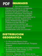 Leishmaniasis Clases