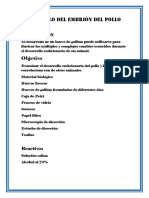 Desarrollo Del Embrión Del Pollo