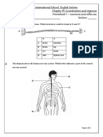 Coordination and Response - M.C.Q Worksheet 1 - Grade 9