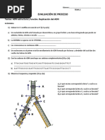 Evaluación de Proceso Adn Tema 2