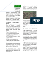 Cal Agricola Conceptos Basicos para La Produccion de Cultivos PDF