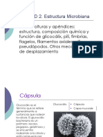 Capsula PDF