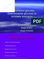 Metabolismul Glucidic