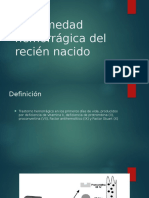 Enfermedad Hemorragica Del Recien Nacido