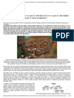 O Que É Um Primata - o Que É Um Macaco - o Que É Um Símio Antropomorfo - o Que É Ser Humano