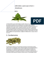 10 Plantas Medicinales y para Que Sirven