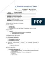 Informe 1 Cromatografia