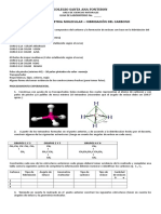 Guia de Laboratorio Hibridacion