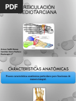 Articulación Mediotarciana