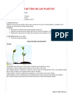 Ciclo de Vida de Las Plantas Ciencia Naturales