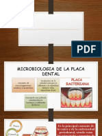 Palaca Dental