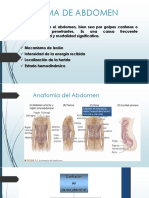 Trauma de Abdomen 