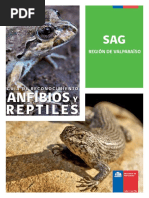 Guia Anfibios Reptiles Sag PDF