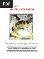 Magia Con Sapos PDF