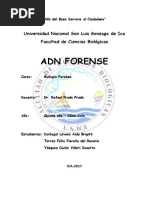 Adn Forense