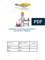 Programa Salud Ocupacional PDF